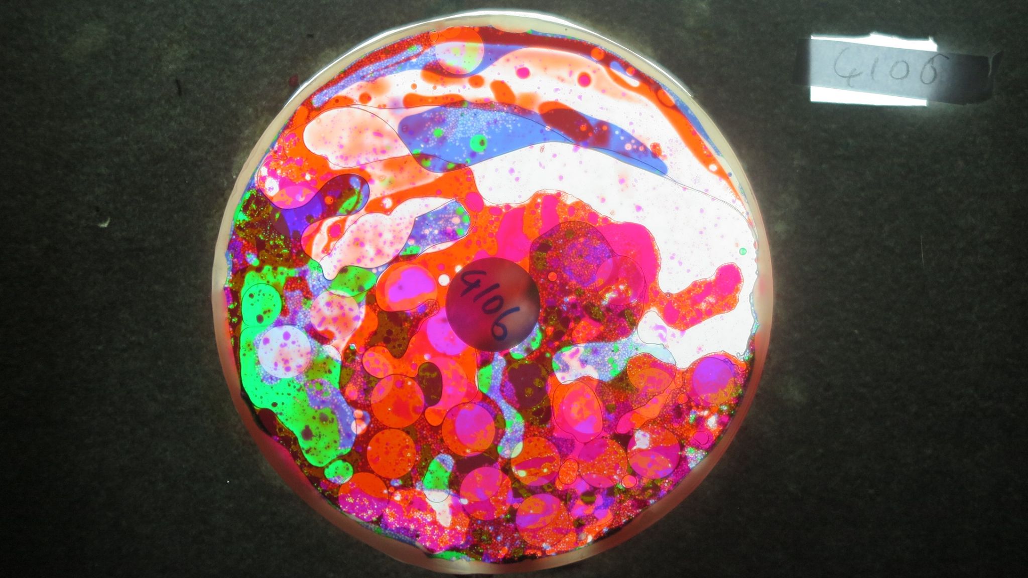 BV4106 bubble vision oil wheel